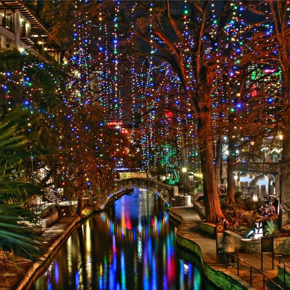 primary-series-image